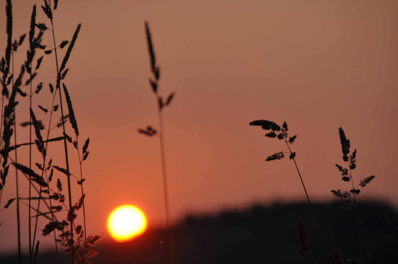 Sonnenuntergang im Schwabenland :)