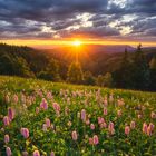 Sonnenuntergang im Schwarwald 