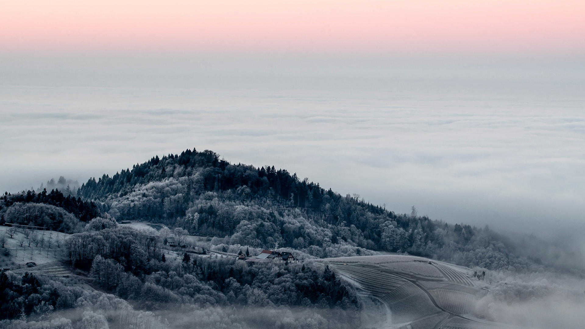 Sonnenuntergang im SCHWARZwald