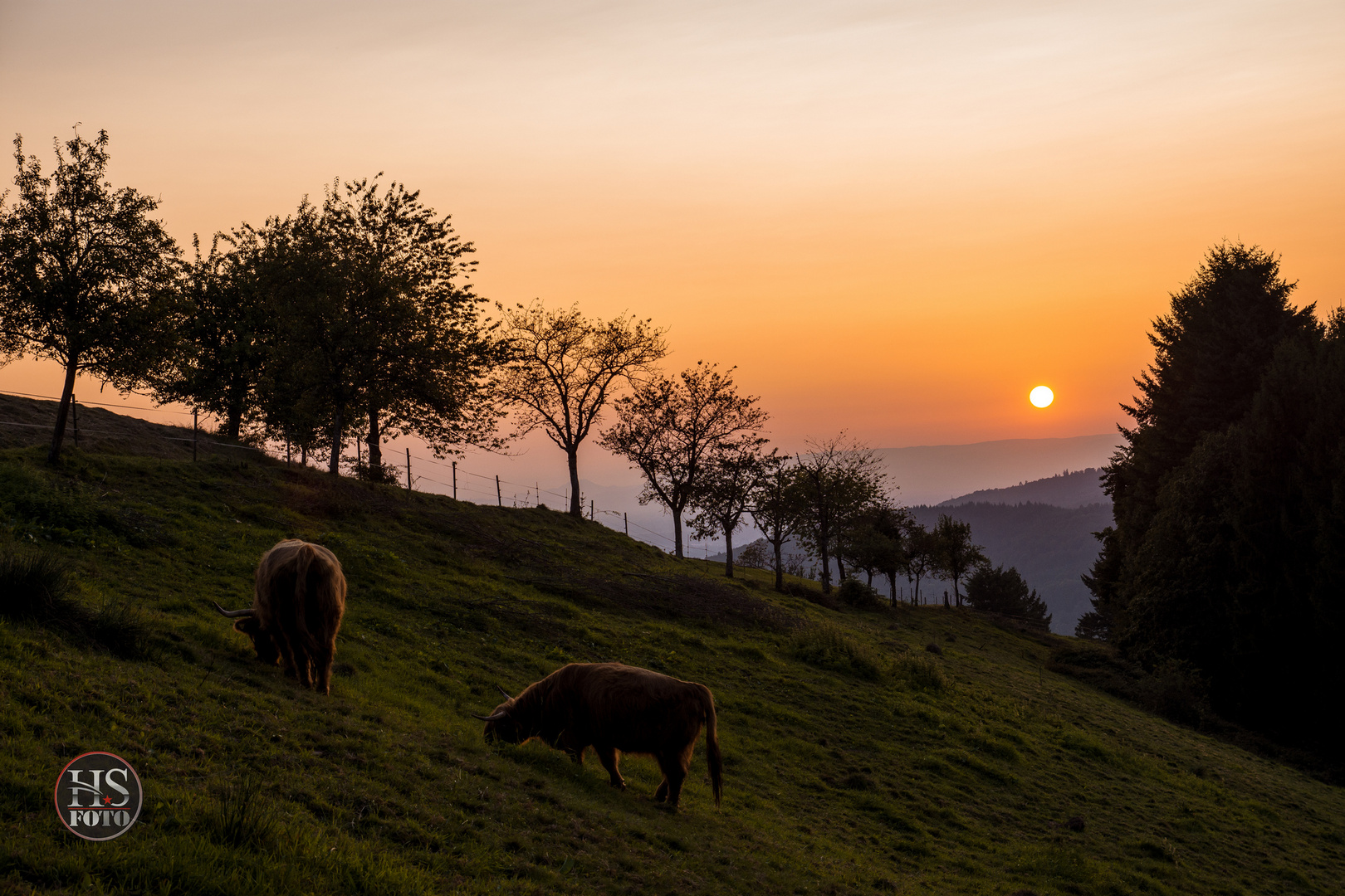 Sonnenuntergang im Schwarzwald