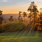 Sonnenuntergang im Schwarzwald