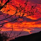 Sonnenuntergang im Schwarzwald 