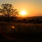 Sonnenuntergang im Schwarzwald