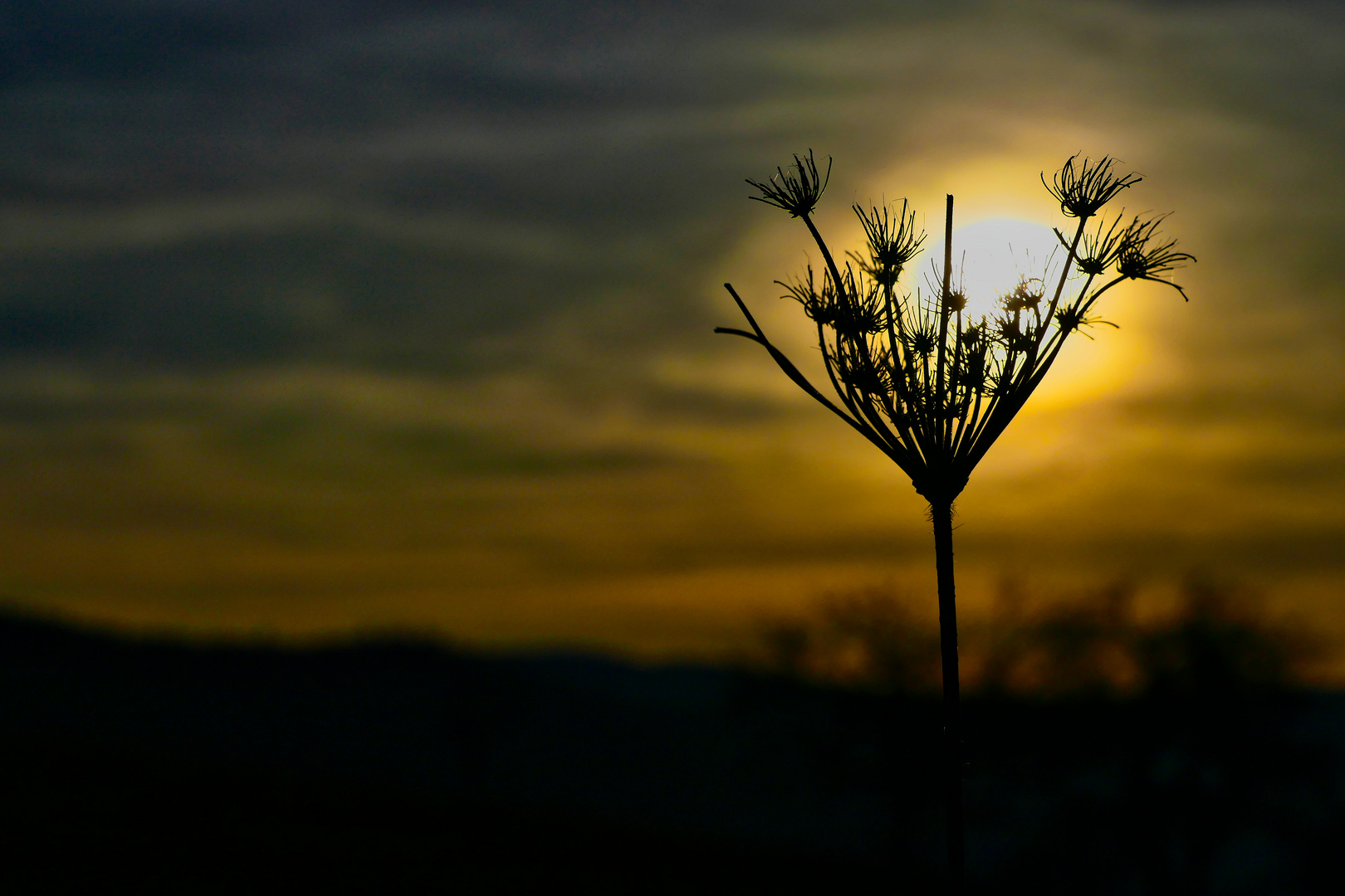 Sonnenuntergang im Schwarzwald 