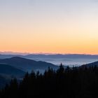 Sonnenuntergang im Schwarzwald