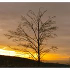 Sonnenuntergang im Schwarzwald