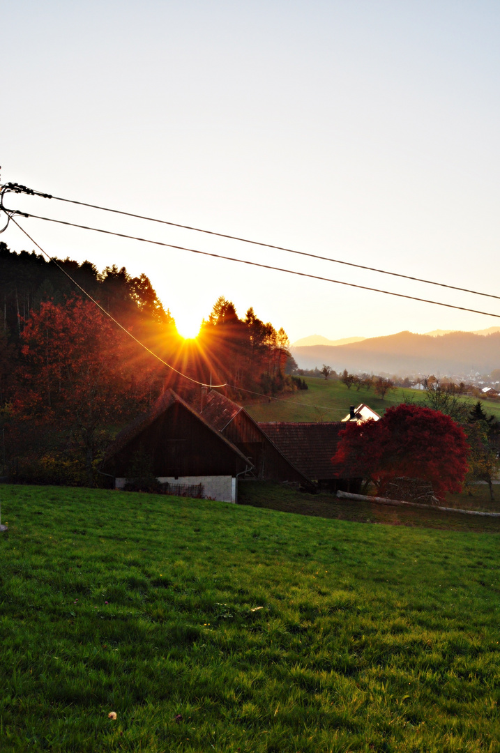 Sonnenuntergang im Schwarzwald