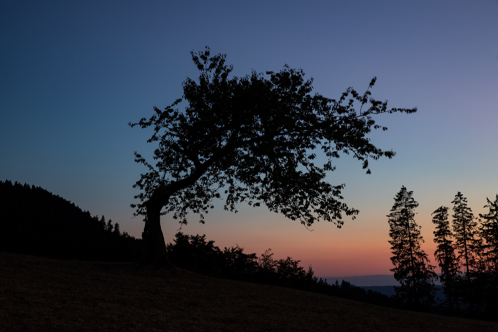 Sonnenuntergang im Schwarzwald