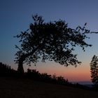 Sonnenuntergang im Schwarzwald