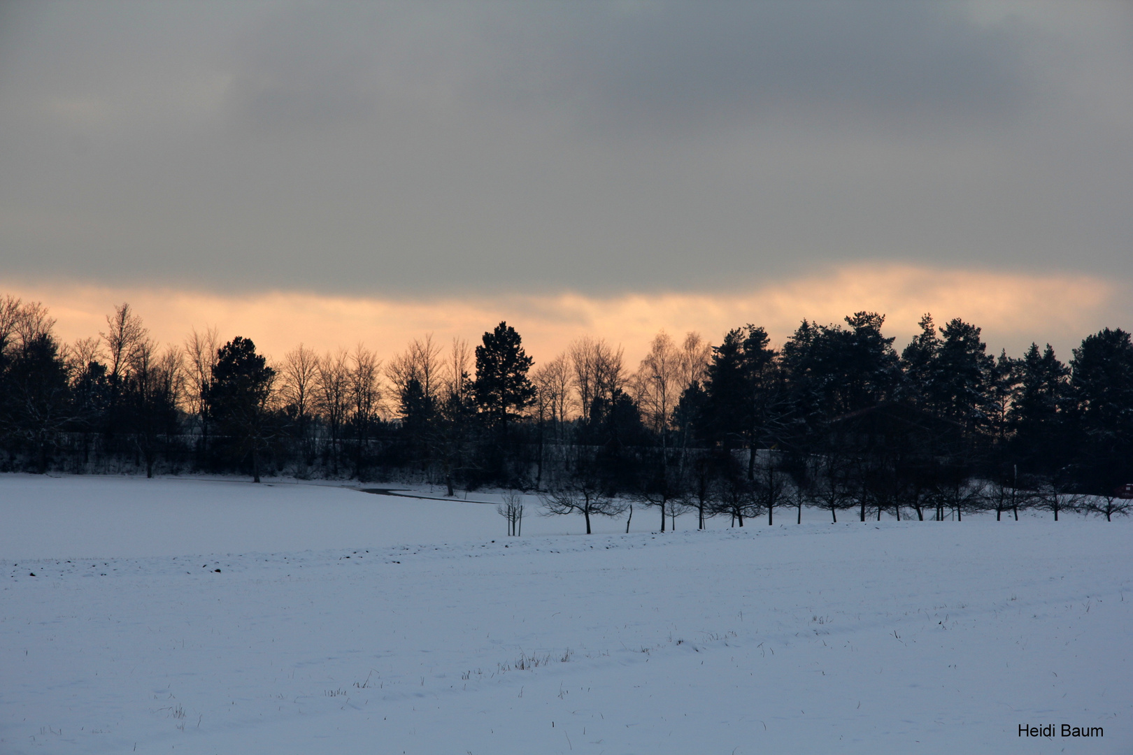 Sonnenuntergang im Schwarzwald