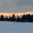 Sonnenuntergang im Schwarzwald