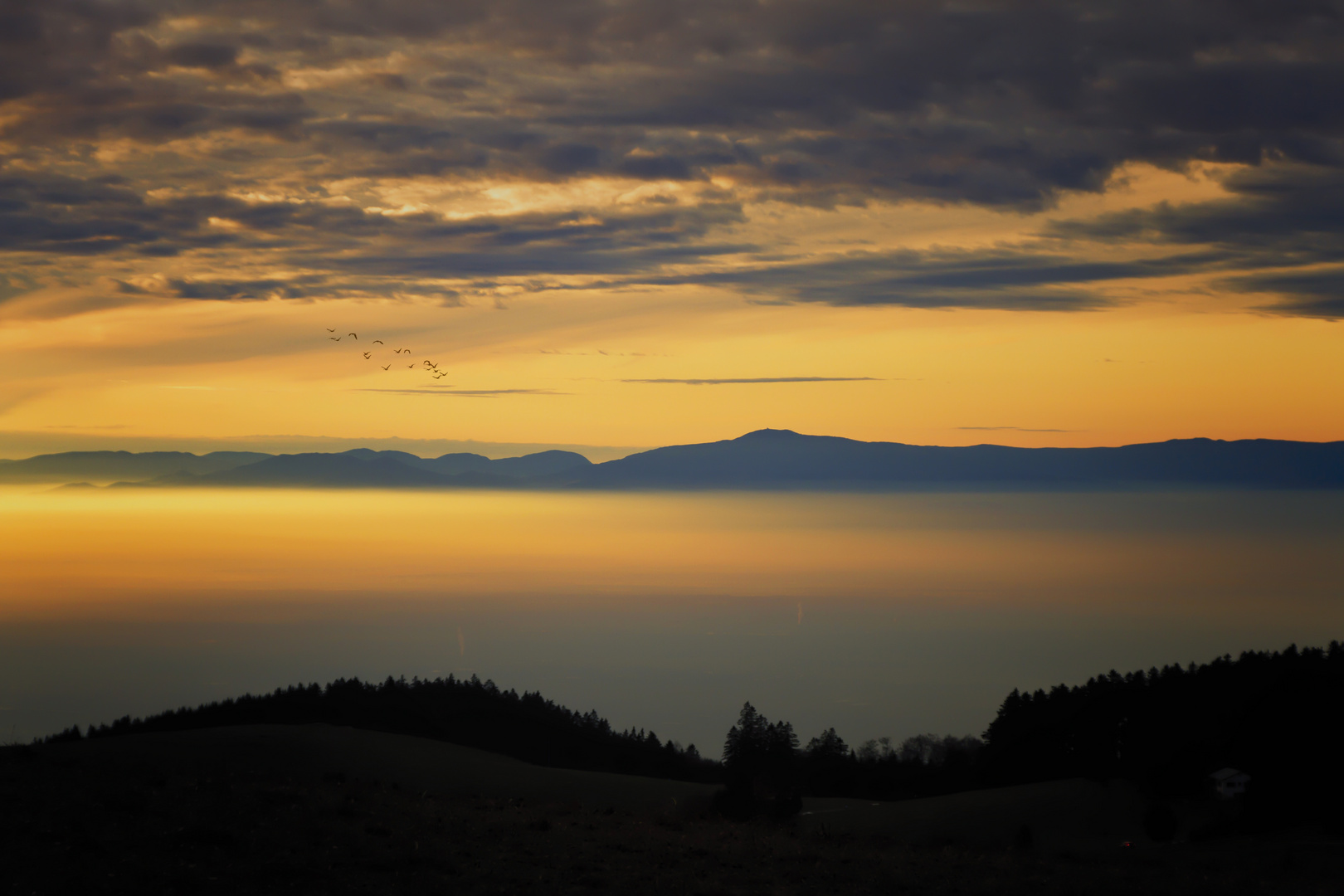 Sonnenuntergang im Schwarzwald