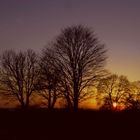 Sonnenuntergang im Schwarzwald