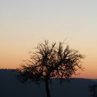 Sonnenuntergang im Schwarzwald / Zavelstein