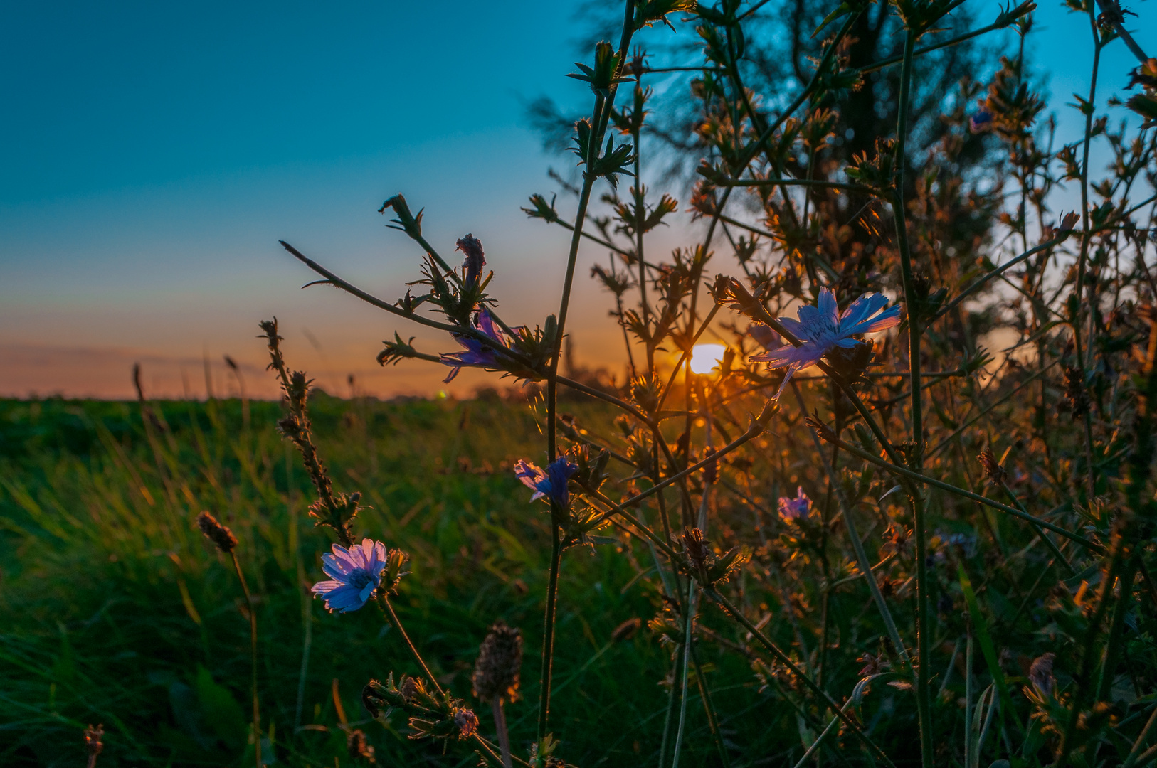 Sonnenuntergang im September - 2