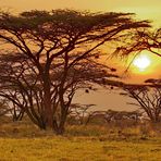 Sonnenuntergang im Shaba Nationalpark