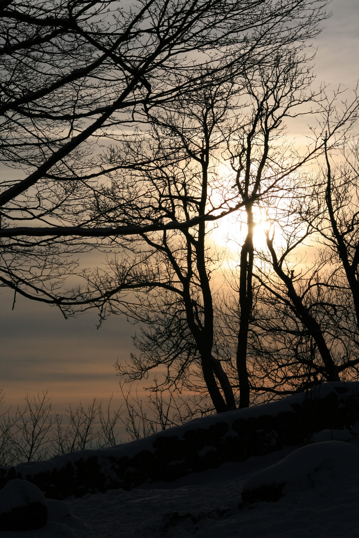 Sonnenuntergang im Siebengebirge