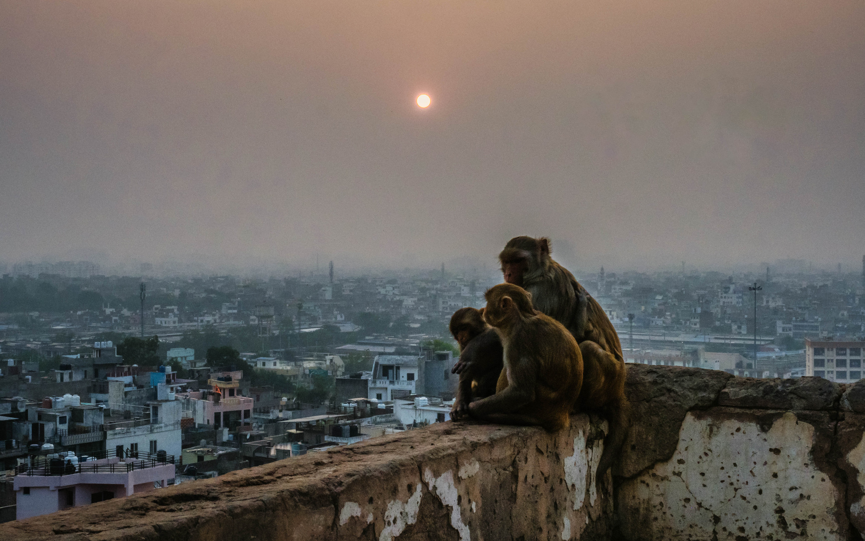 Sonnenuntergang im Smog von Jaipur