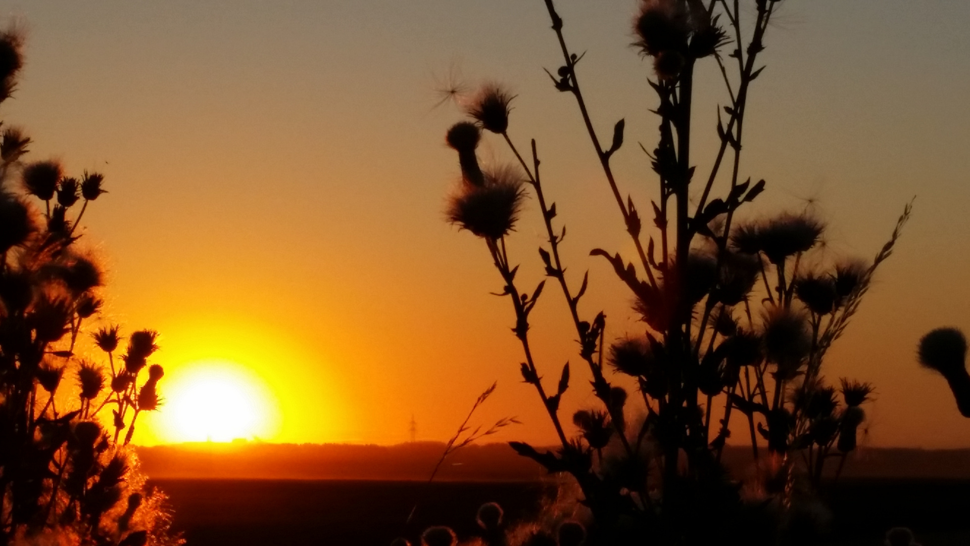 Sonnenuntergang im Sommer