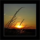 Sonnenuntergang im Sommer