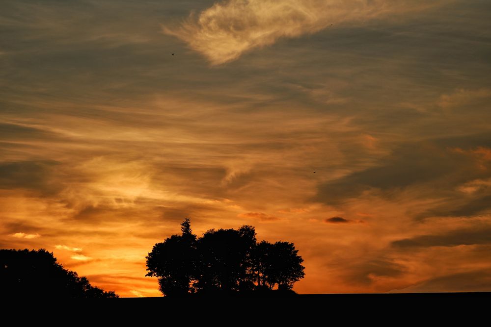 Sonnenuntergang im Sommer