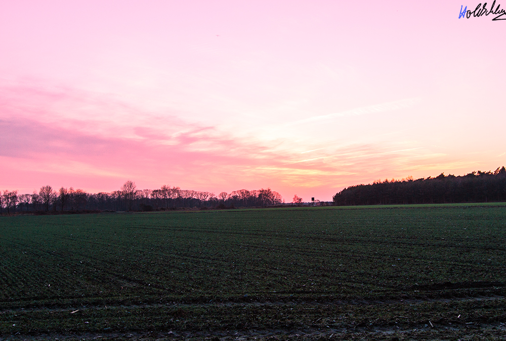 Sonnenuntergang im späten Winter