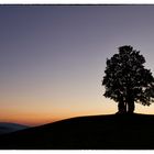 Sonnenuntergang im Spätsommer im Kanton Fribourg, CH