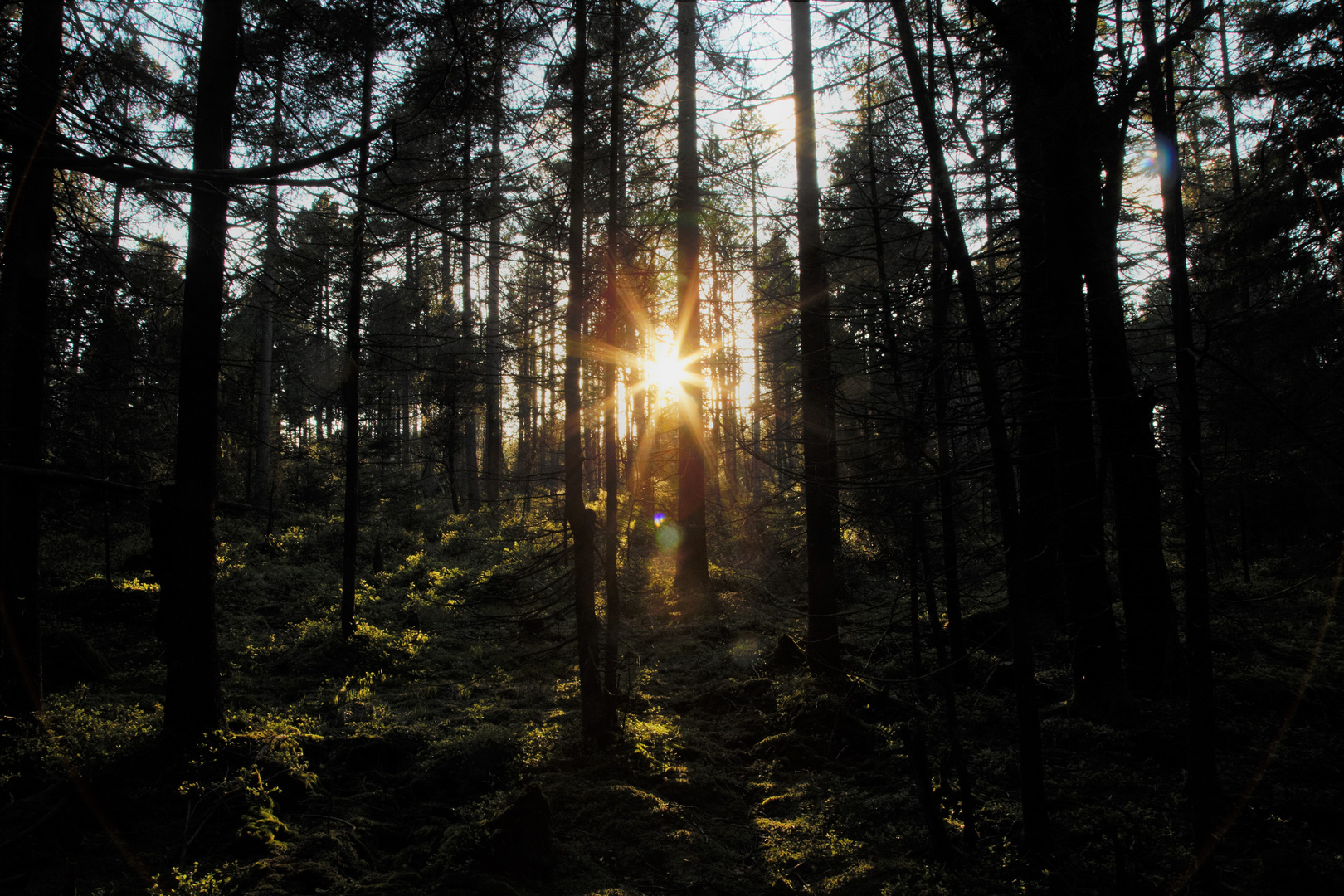 Sonnenuntergang im Sperrgebiet