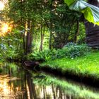 Sonnenuntergang im Spreewald