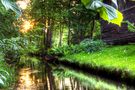 Sonnenuntergang im Spreewald von Bomenius 