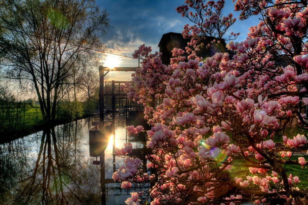 Sonnenuntergang im Spreewald