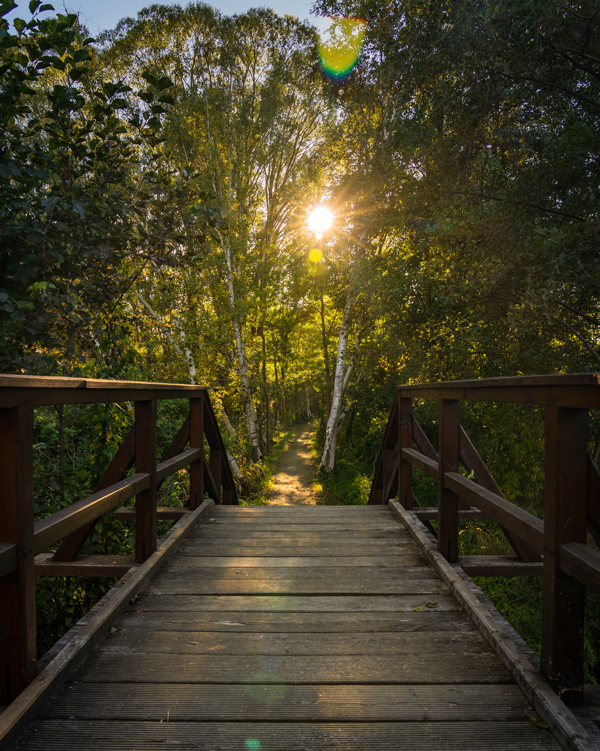 Sonnenuntergang im Spreewald