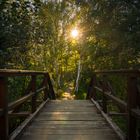 Sonnenuntergang im Spreewald