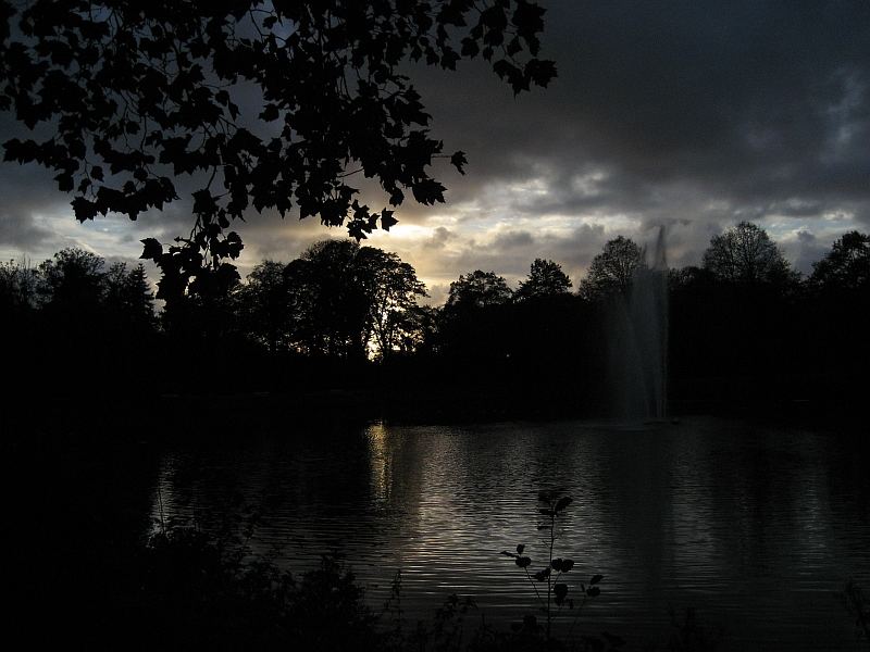 Sonnenuntergang im Stadtpark