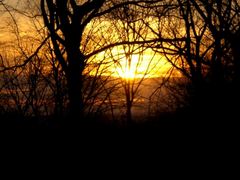 Sonnenuntergang im Stadtpark Bochum