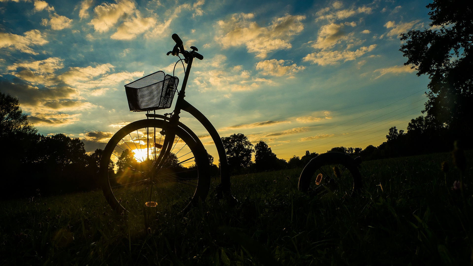 Sonnenuntergang im Stadtpark