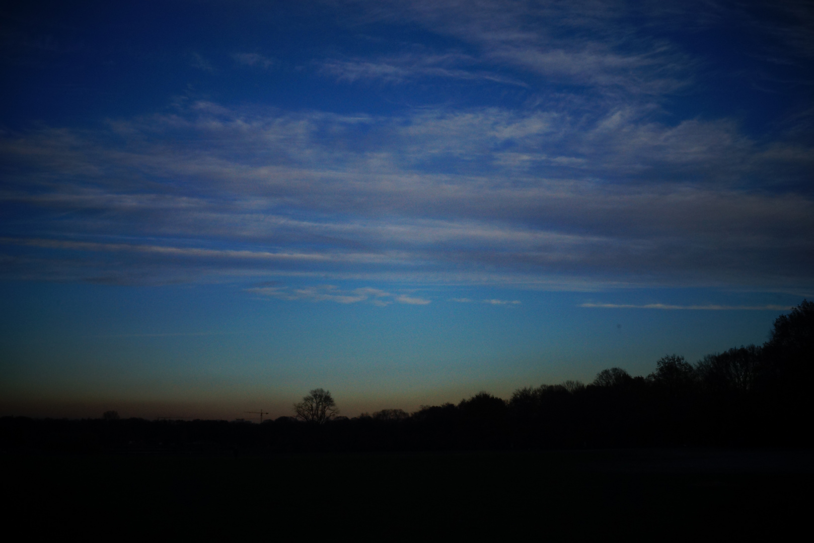 Sonnenuntergang im Stadtpark Hamburg