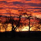 Sonnenuntergang im Strohgäu