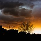 Sonnenuntergang im Süden Berlins