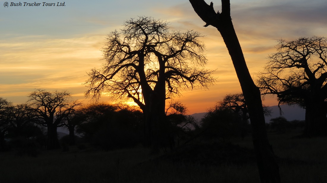 Sonnenuntergang im Tarangire Nationalpark