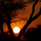 Sonnenuntergang im Tarangire NP