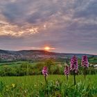 Sonnenuntergang im Taubertal.