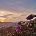 Sonnenuntergang im Taubertal.