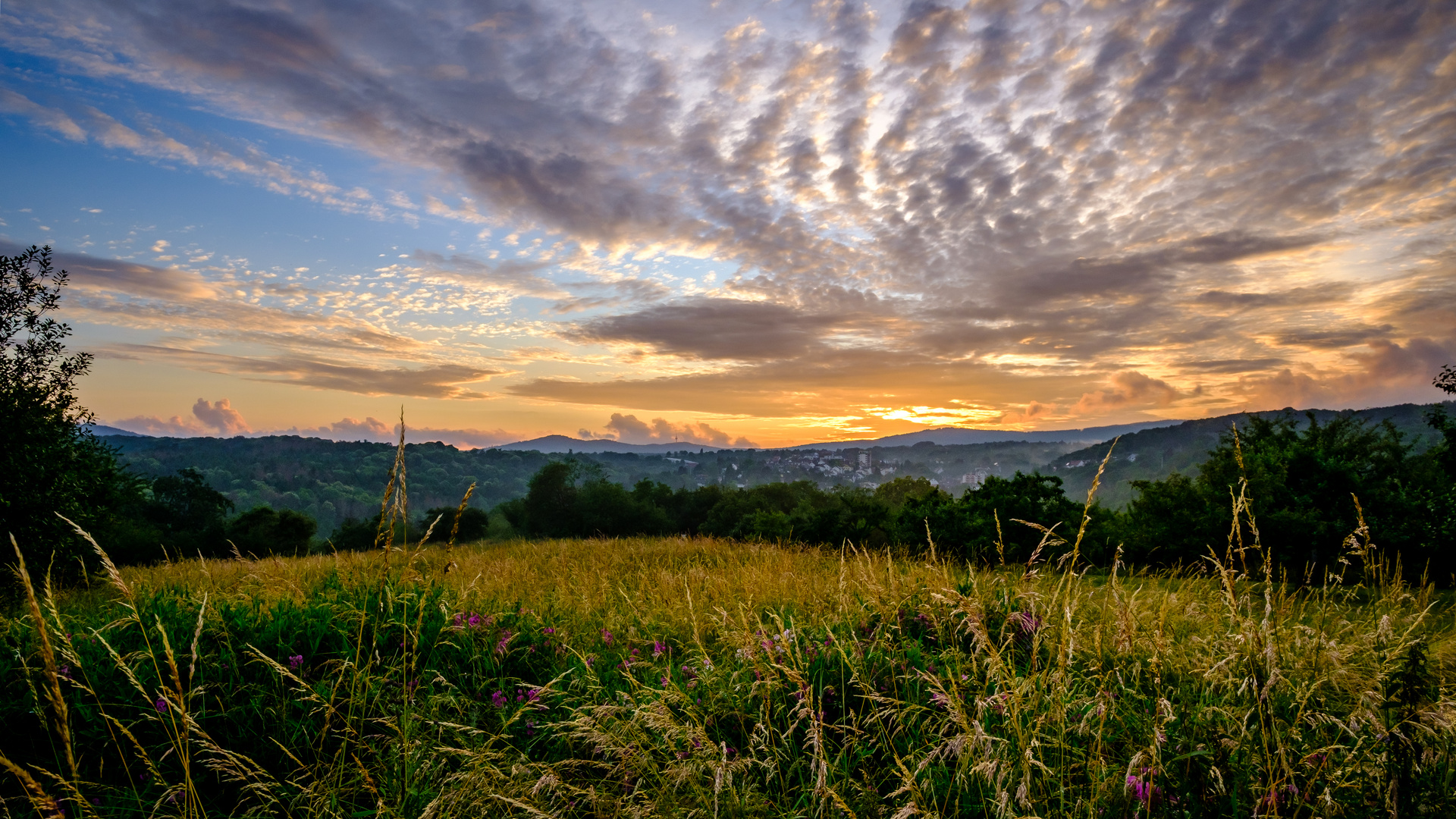 Sonnenuntergang im Taunus