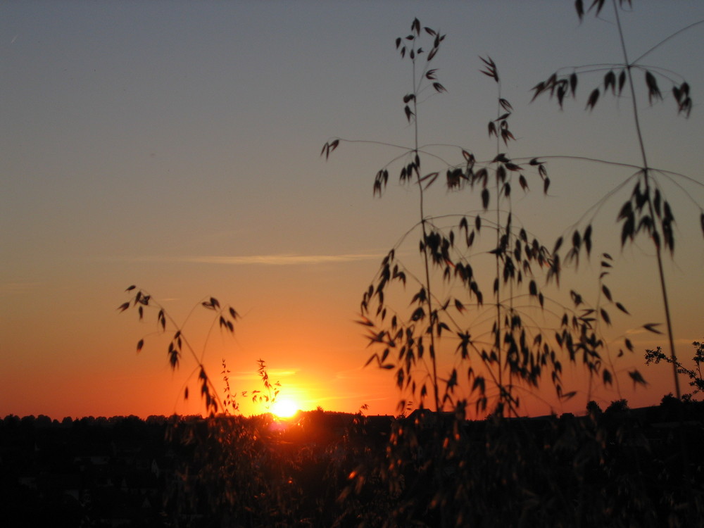 Sonnenuntergang im Taunus