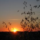 Sonnenuntergang im Taunus