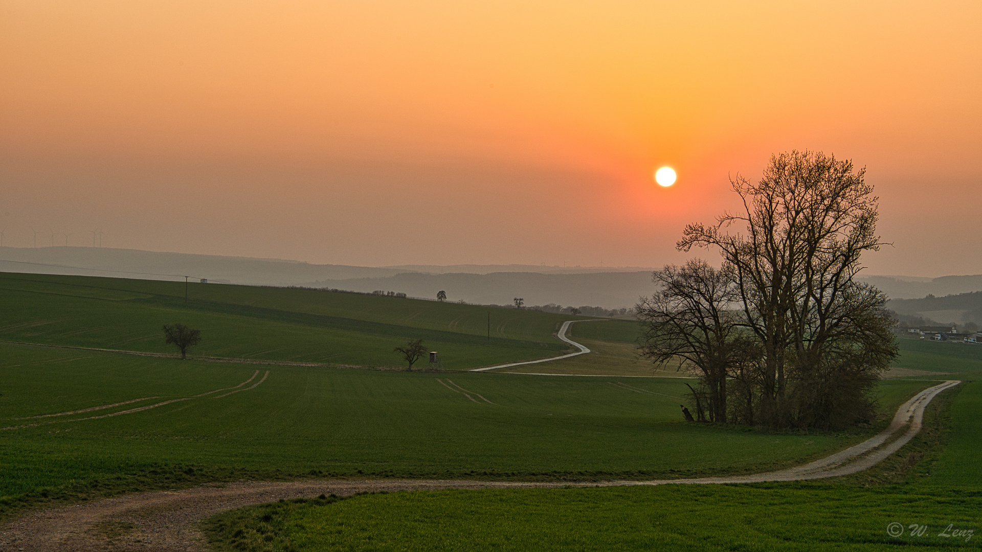 Sonnenuntergang im Taunus