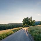 Sonnenuntergang im Taunus