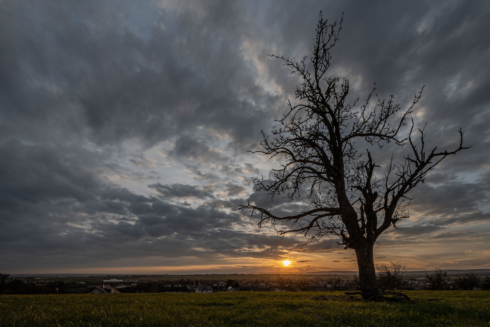 Sonnenuntergang im Taunus