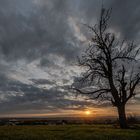 Sonnenuntergang im Taunus